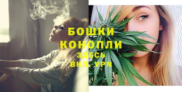 трава Абаза